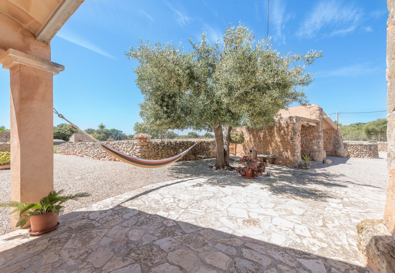 Landhaus in Cas Concos Des Cavaller - Winter Finca Can Concarri