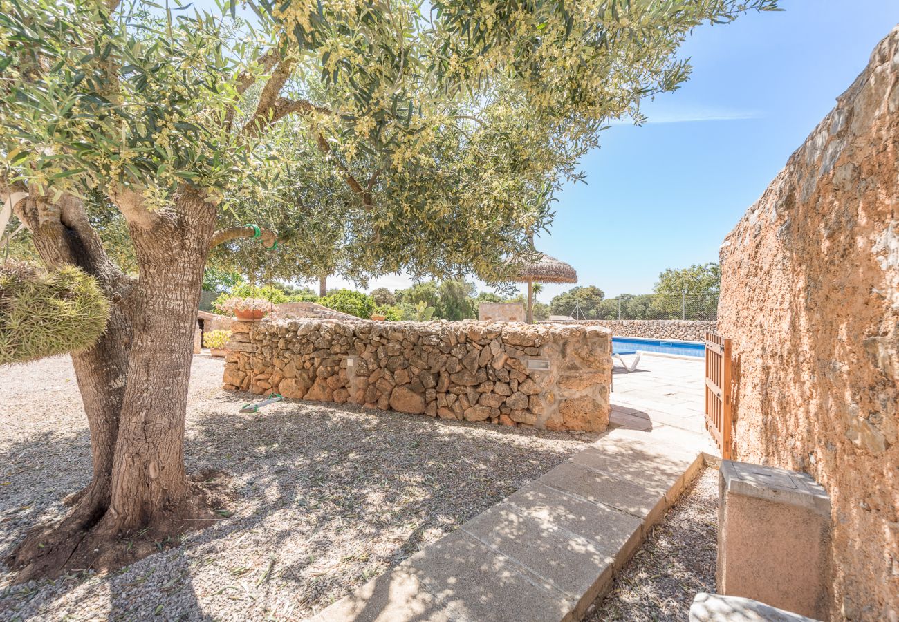 Landhaus in Cas Concos Des Cavaller - Winter Finca Can Concarri