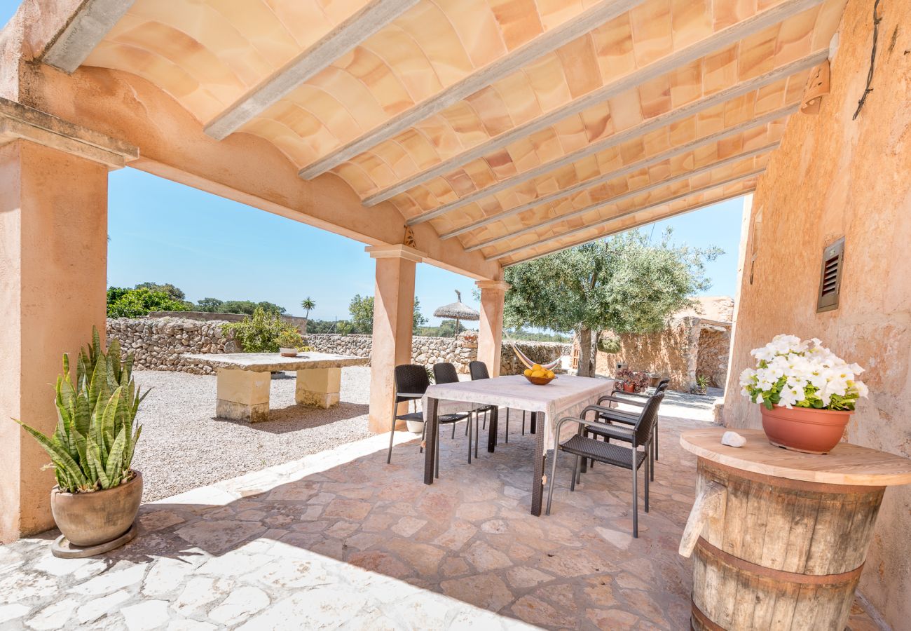 Landhaus in Cas Concos Des Cavaller - Winter Finca Can Concarri