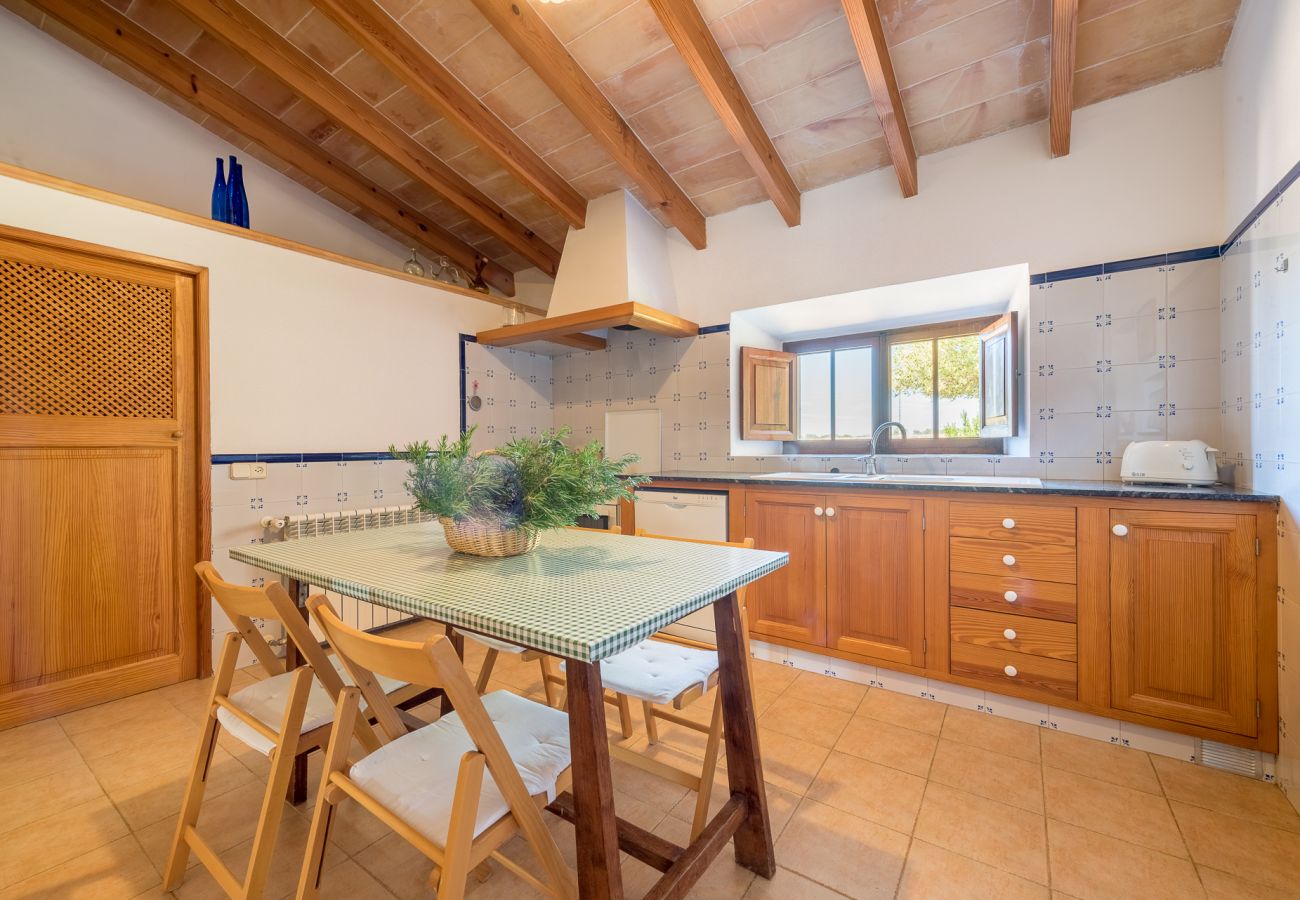 Landhaus in Cas Concos Des Cavaller - Winter Finca Can Concarri