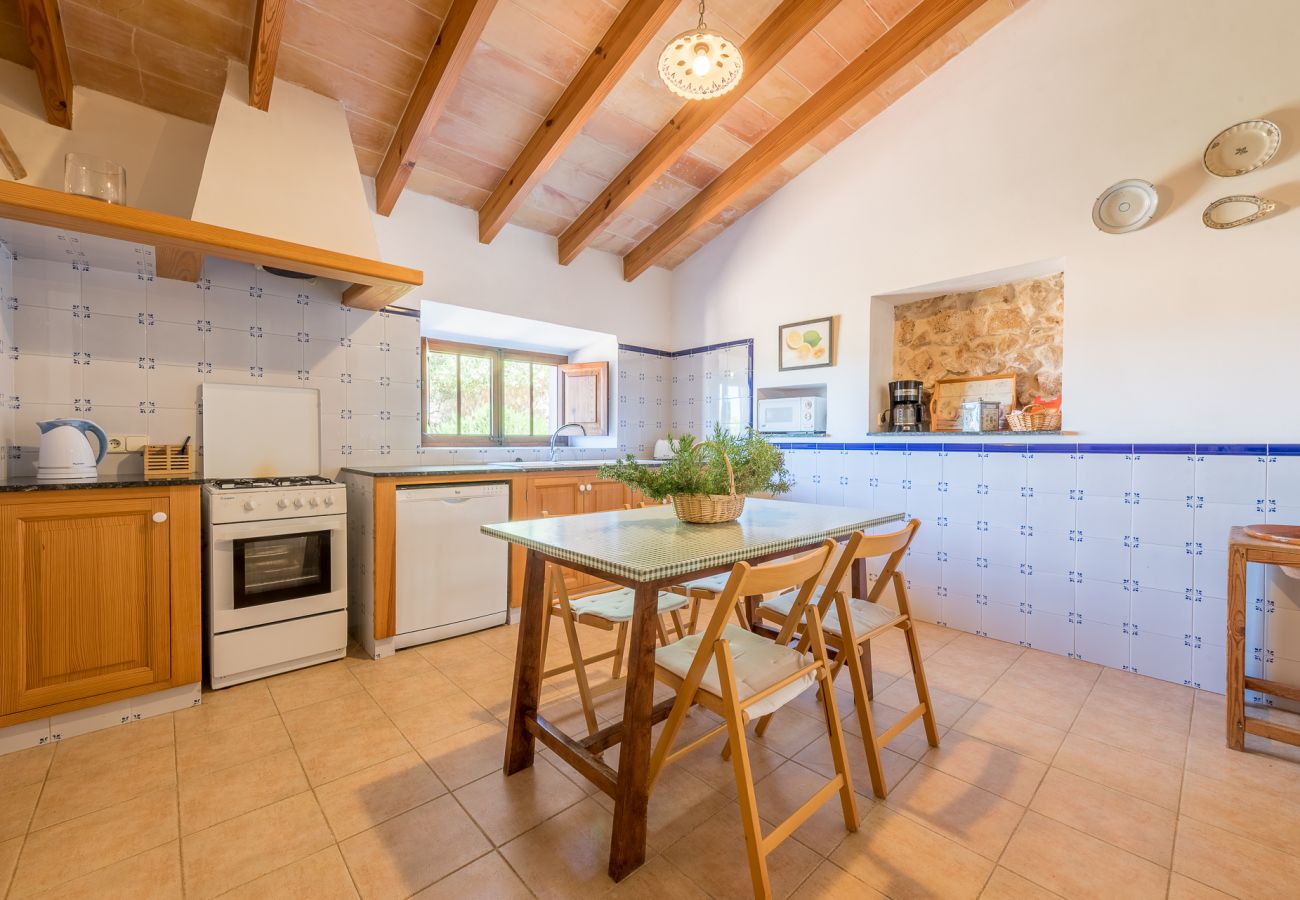 Landhaus in Cas Concos Des Cavaller - Winter Finca Can Concarri