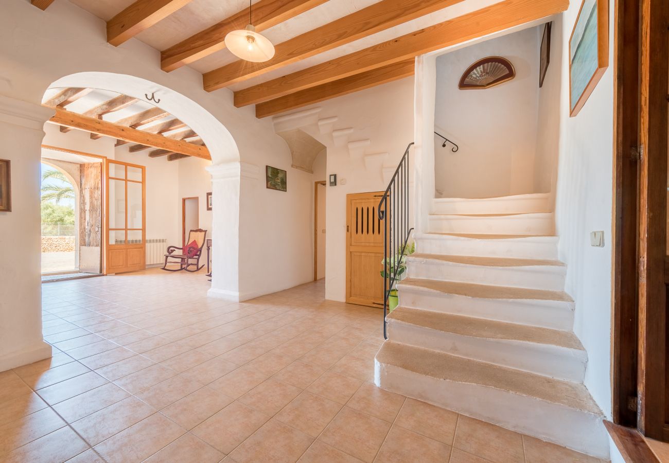 Landhaus in Cas Concos Des Cavaller - Winter Finca Can Concarri