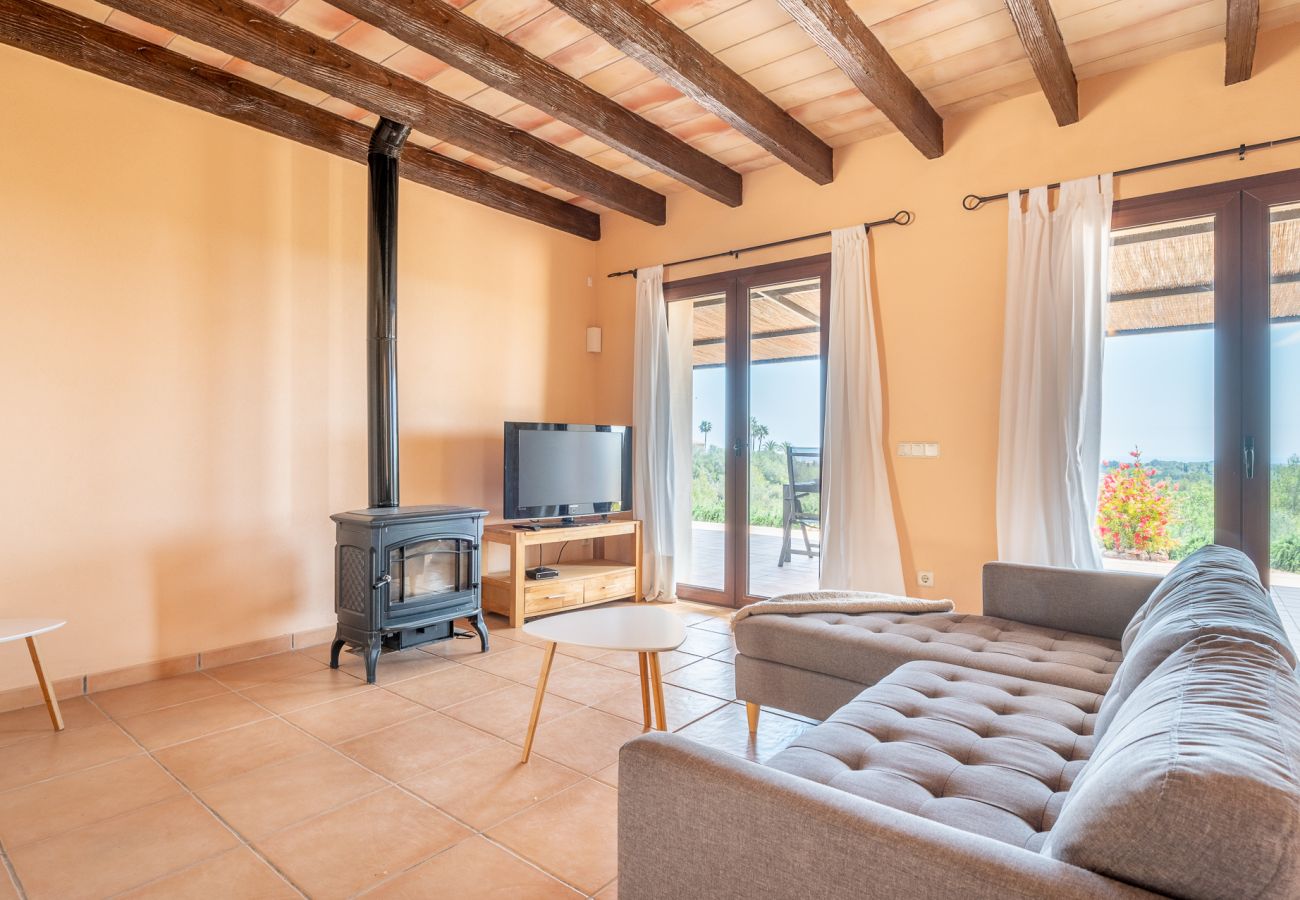 Ferienhaus in Manacor - Winter Finca Sa Pleta