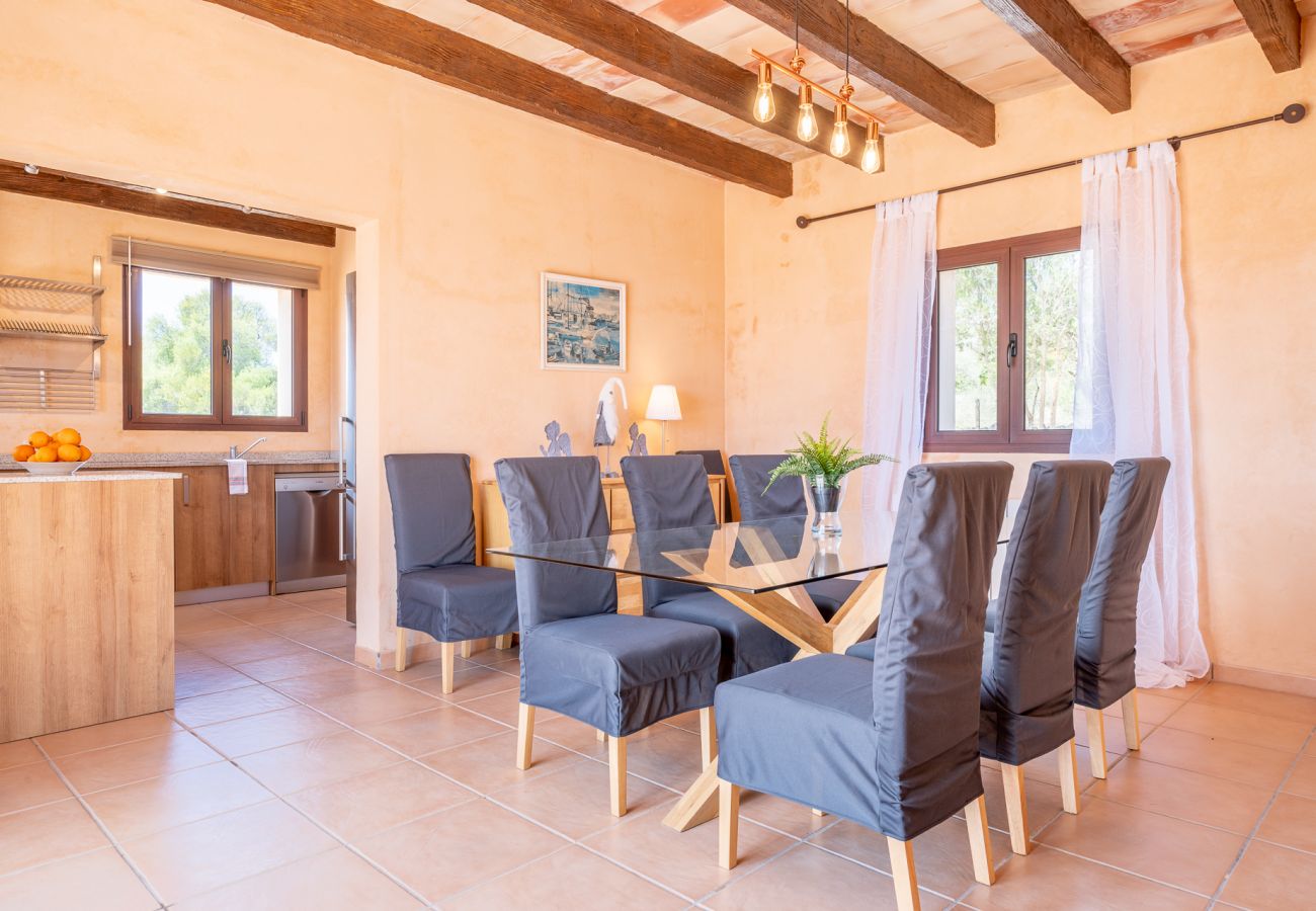 Ferienhaus in Manacor - Winter Finca Sa Pleta