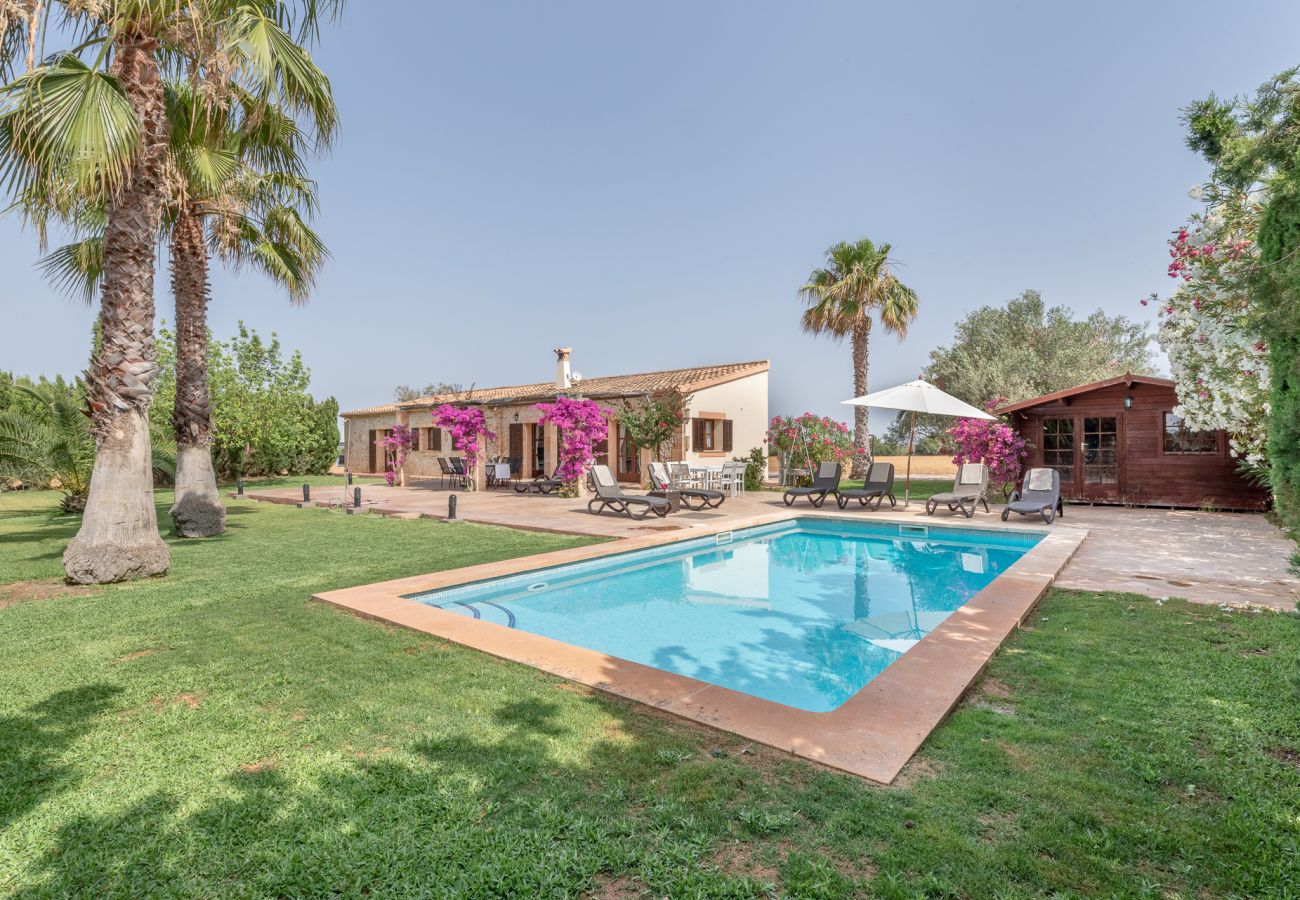 Ferienhaus in Felanitx - For sale - Finca Es Garrover