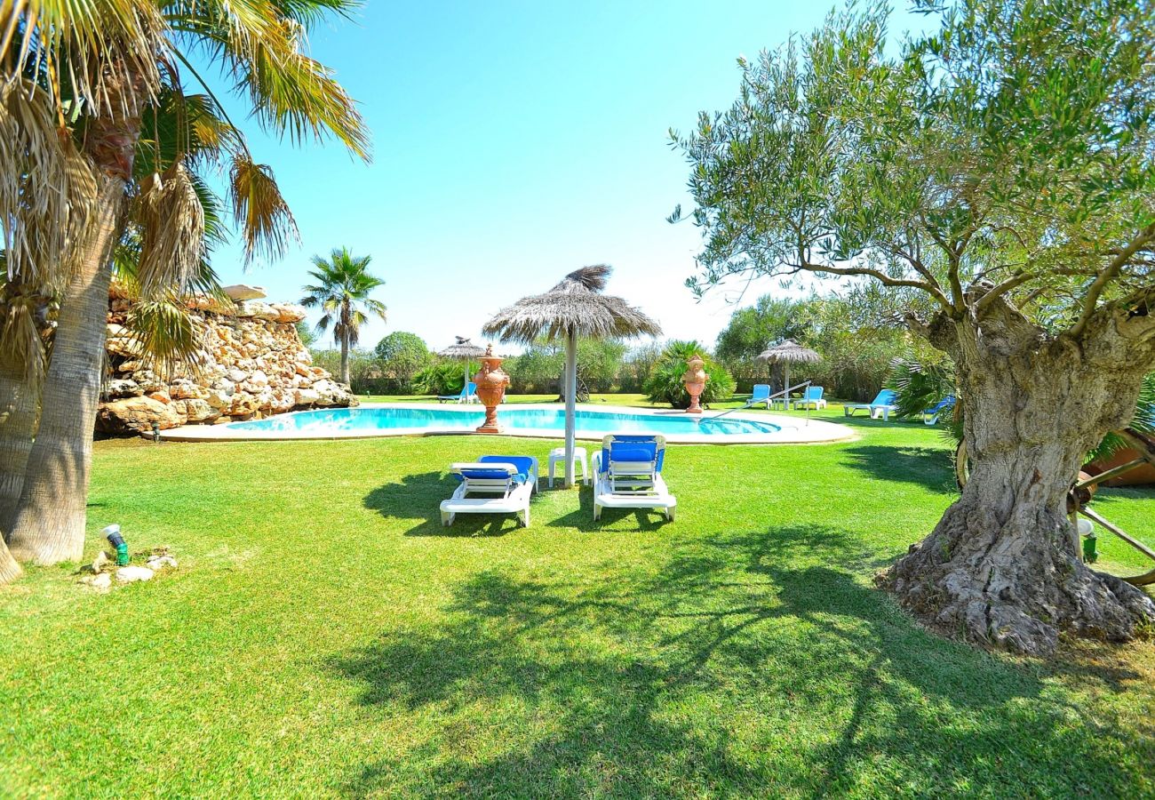 Die luxuriöse Finca befindet sich in Can Picafort-Mallorca und verfügt über einen Pool