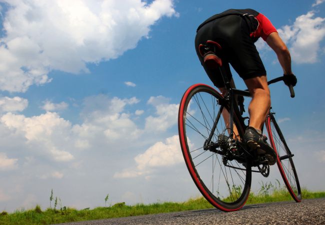 Finca in Santa Margalida - 054 Finca Es Bosquerró ETV/5362 by Mallorca Charme Finca in Santa Margalida - 054 Finca Es Bosquerró ETV/5362 by Mallorca Charme