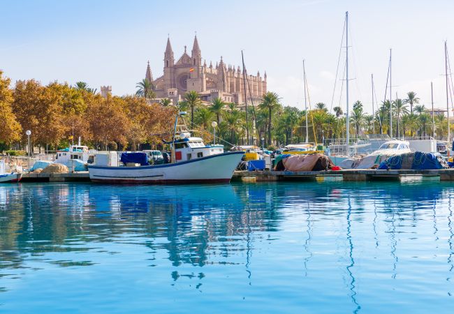 Finca in Santa Margalida - 054 Finca Es Bosquerró ETV/5362 by Mallorca Charme Finca in Santa Margalida - 054 Finca Es Bosquerró ETV/5362 by Mallorca Charme