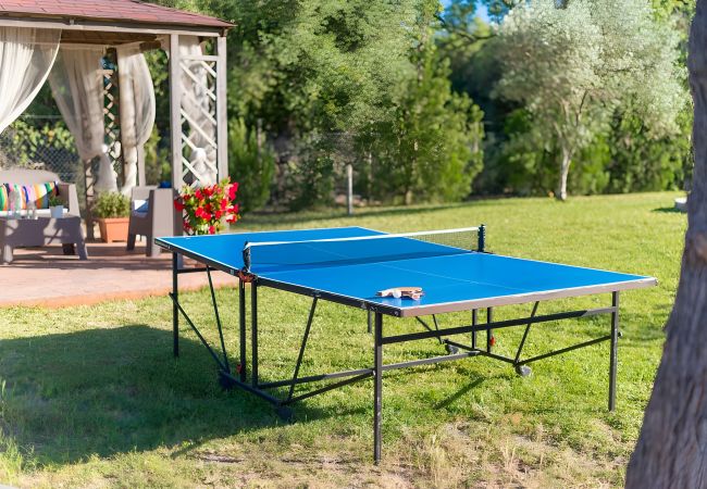 Finca in Alcúdia - 113 Finca Can Roig ETV/955 by Mallorca Charme Finca in Alcúdia - 113 Finca Can Roig ETV/955 by Mallorca Charme