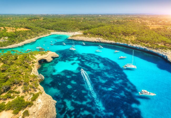 Finca in Alcúdia - 113 Finca Can Roig ETV/955 by Mallorca Charme Finca in Alcúdia - 113 Finca Can Roig ETV/955 by Mallorca Charme