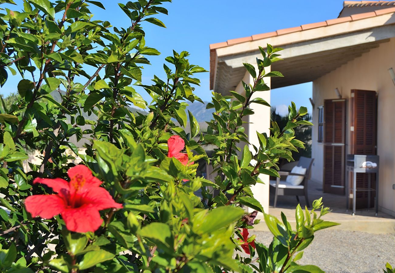 Finca in Campanet - Villa Can Melis 149 by Mallorca Charme