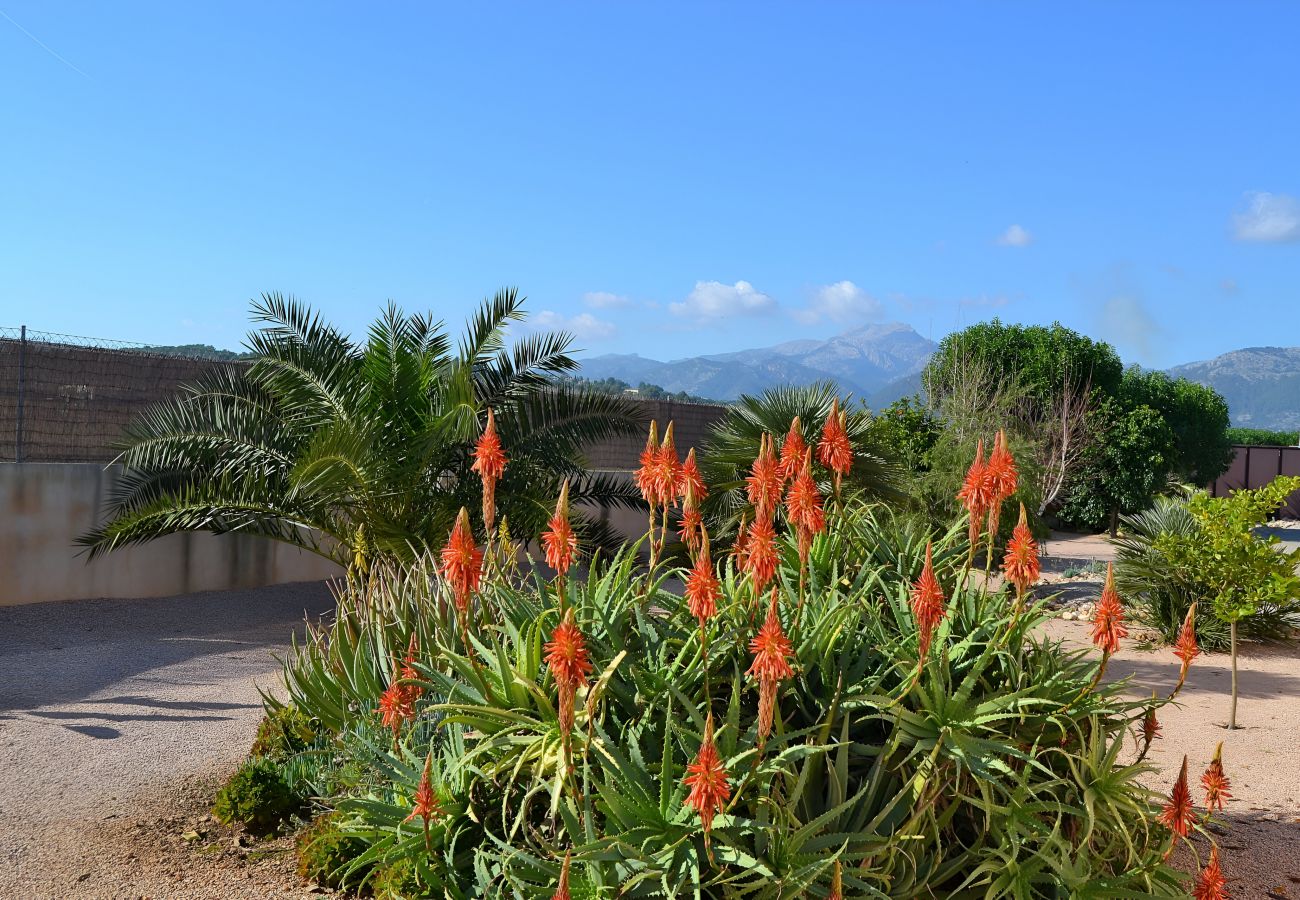 Finca in Campanet - Villa Can Melis 149 by Mallorca Charme