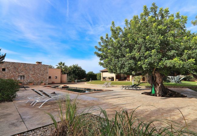 Finca in Binissalem - Villa Es Triquet 151 by Mallorca Charme