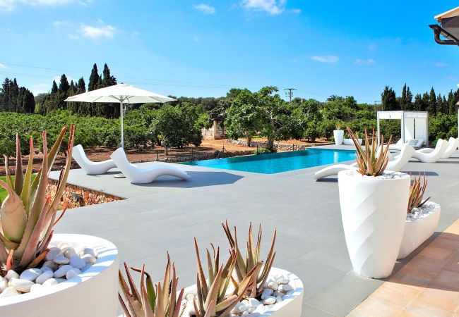 Ab 100€ pro Tag  können Sie Ihre Villa auf Mallorca mieten