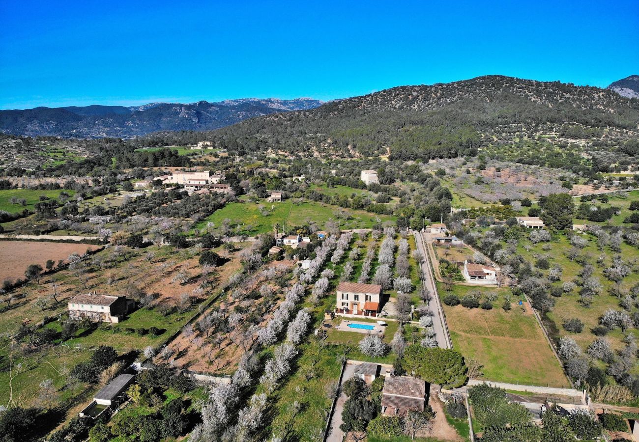 Finca in Binissalem - Finca Sa Vinyeta 504 by Mallorca Charme