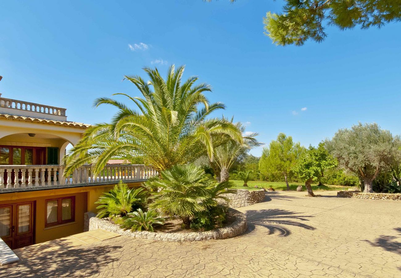 Villa in Alcudia - Villa Can Emmes 245 by Mallorca Charme