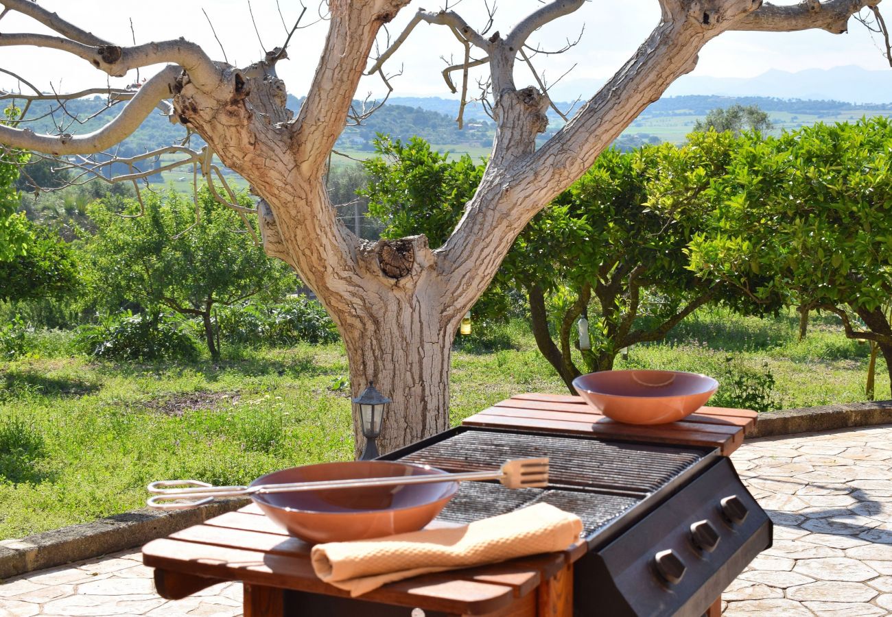 Finca in Santa Margalida - Villa Sa Caseta des Padrí 053 by Mallorca Charme
