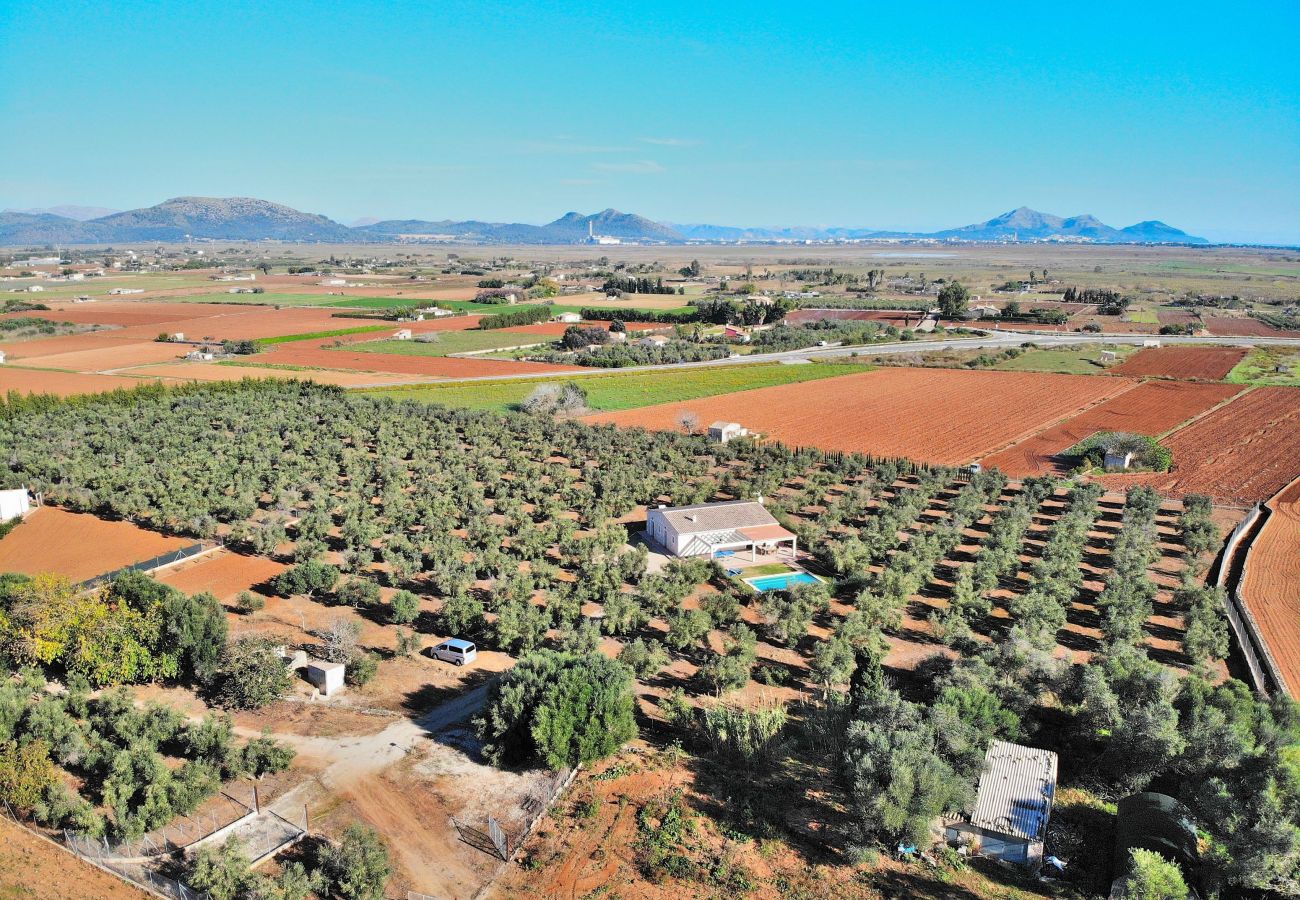 Finca in Can Picafort - Finca Ullastres 109 by Mallorca Charme