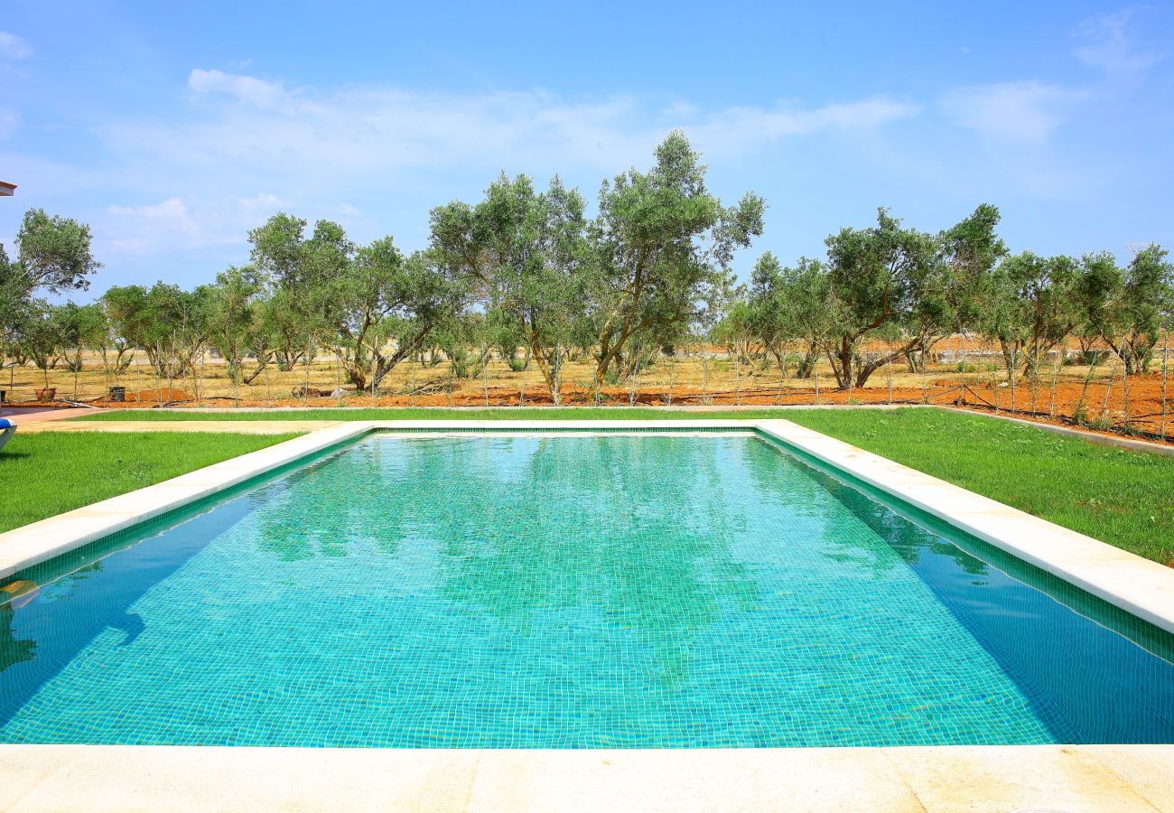 Finca in Can Picafort - Finca Ullastres 109 by Mallorca Charme