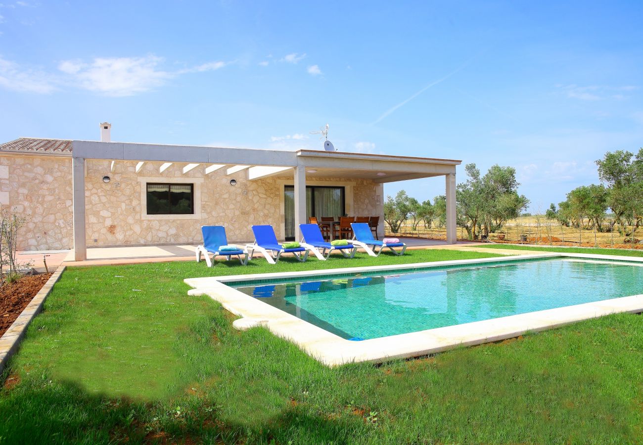 Finca, Ferien, Natur, Schwimmbad