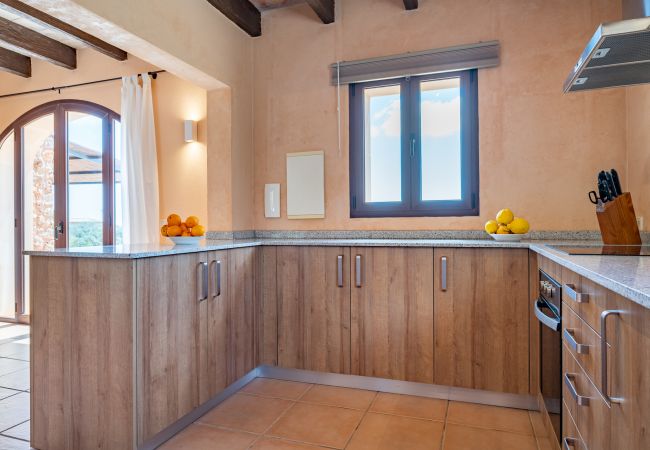Villa in Manacor - Finca Sa Pleta Villa in Manacor - Finca Sa Pleta