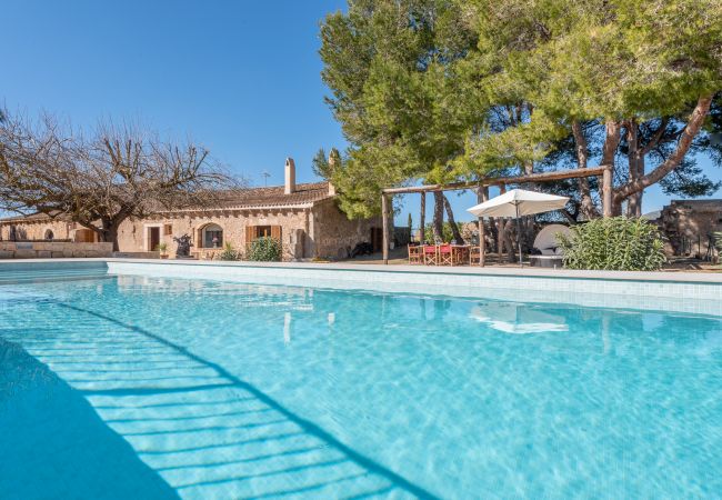 Ferienhaus in Sant Llorenç Des Cardassar - Finca Llucamar - Ca nAina