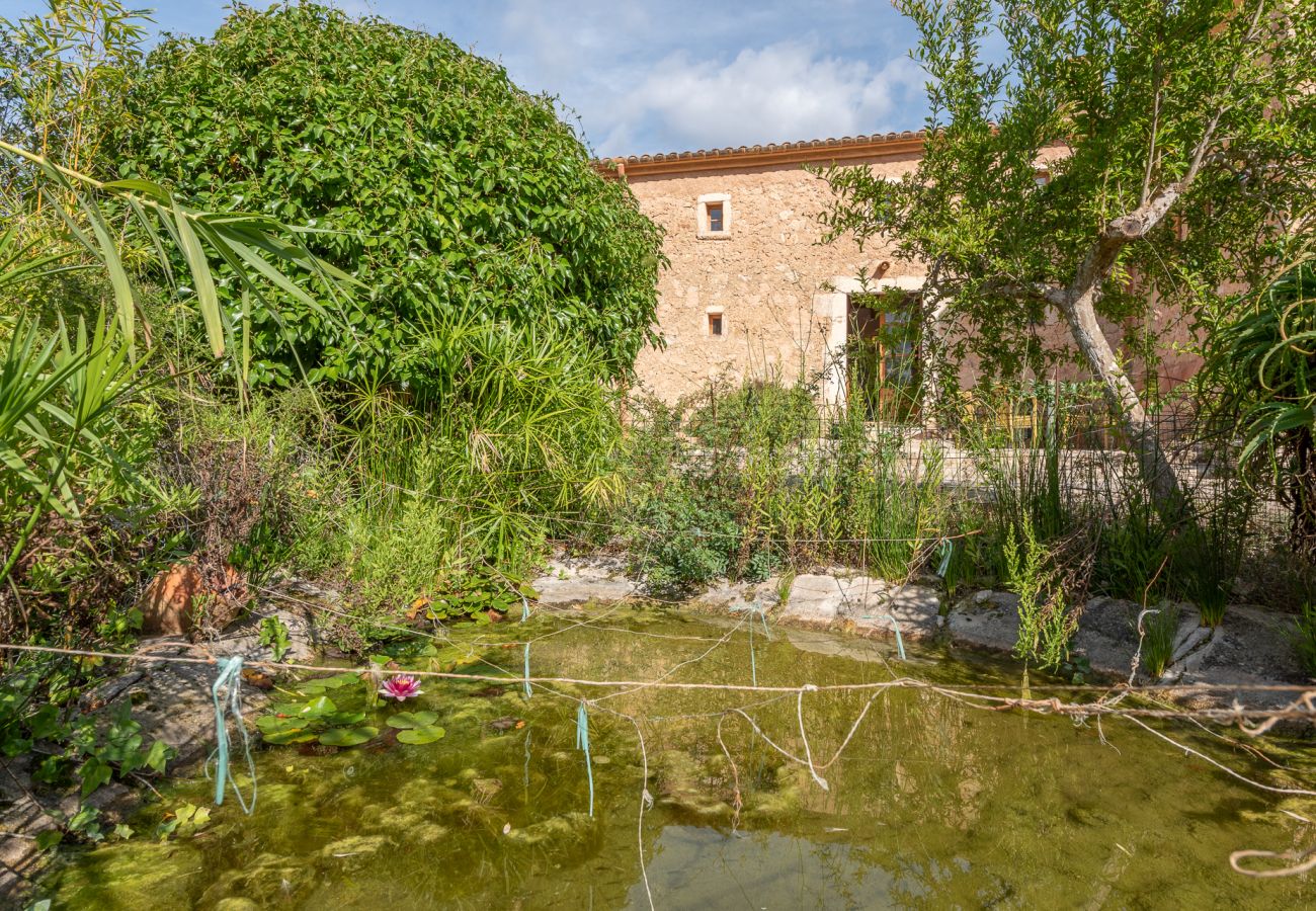 Ferienhaus in Son Macià - Finca Sa Font