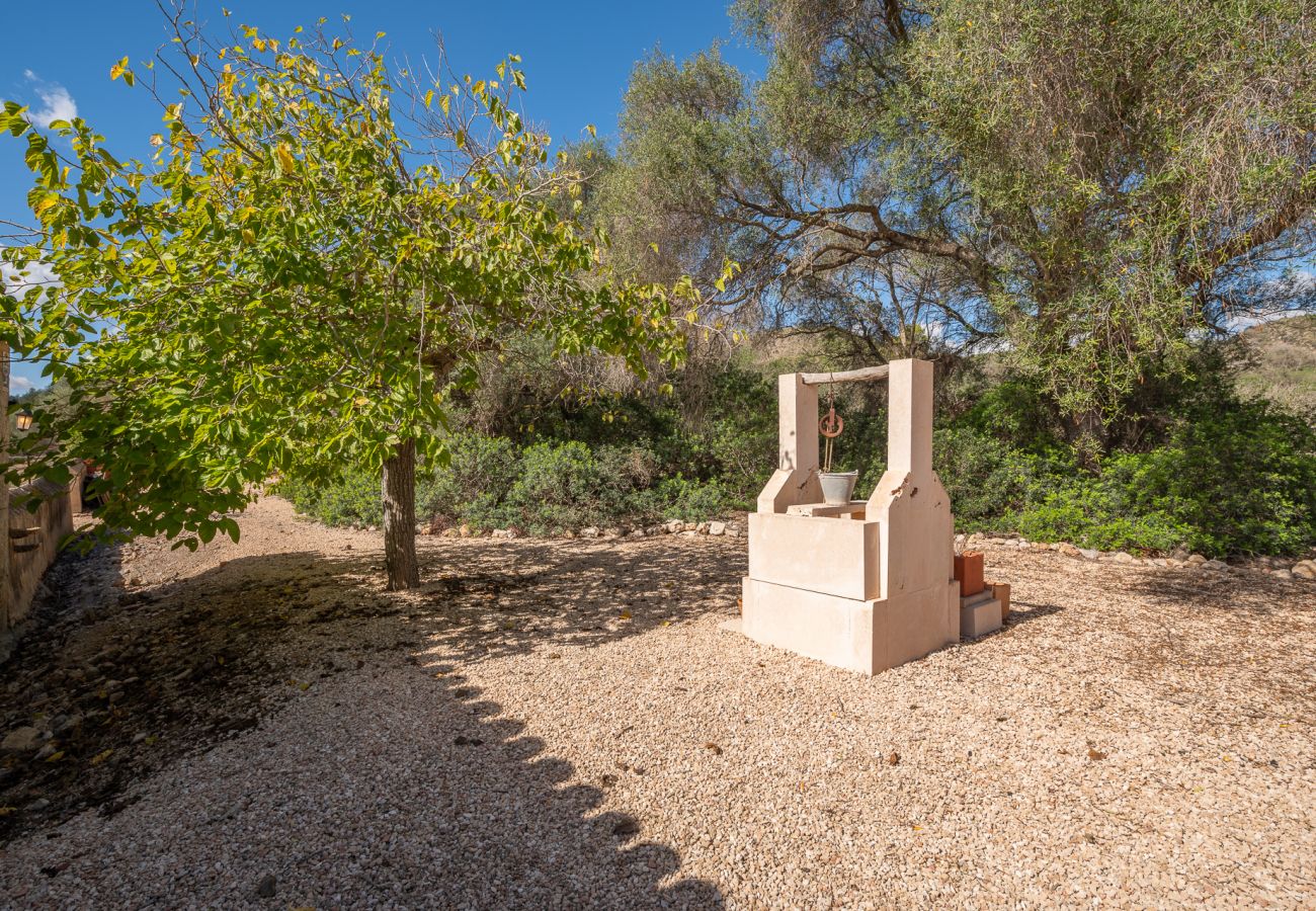 Landhaus in Manacor - Finca Cas Pastor (Son Josep)