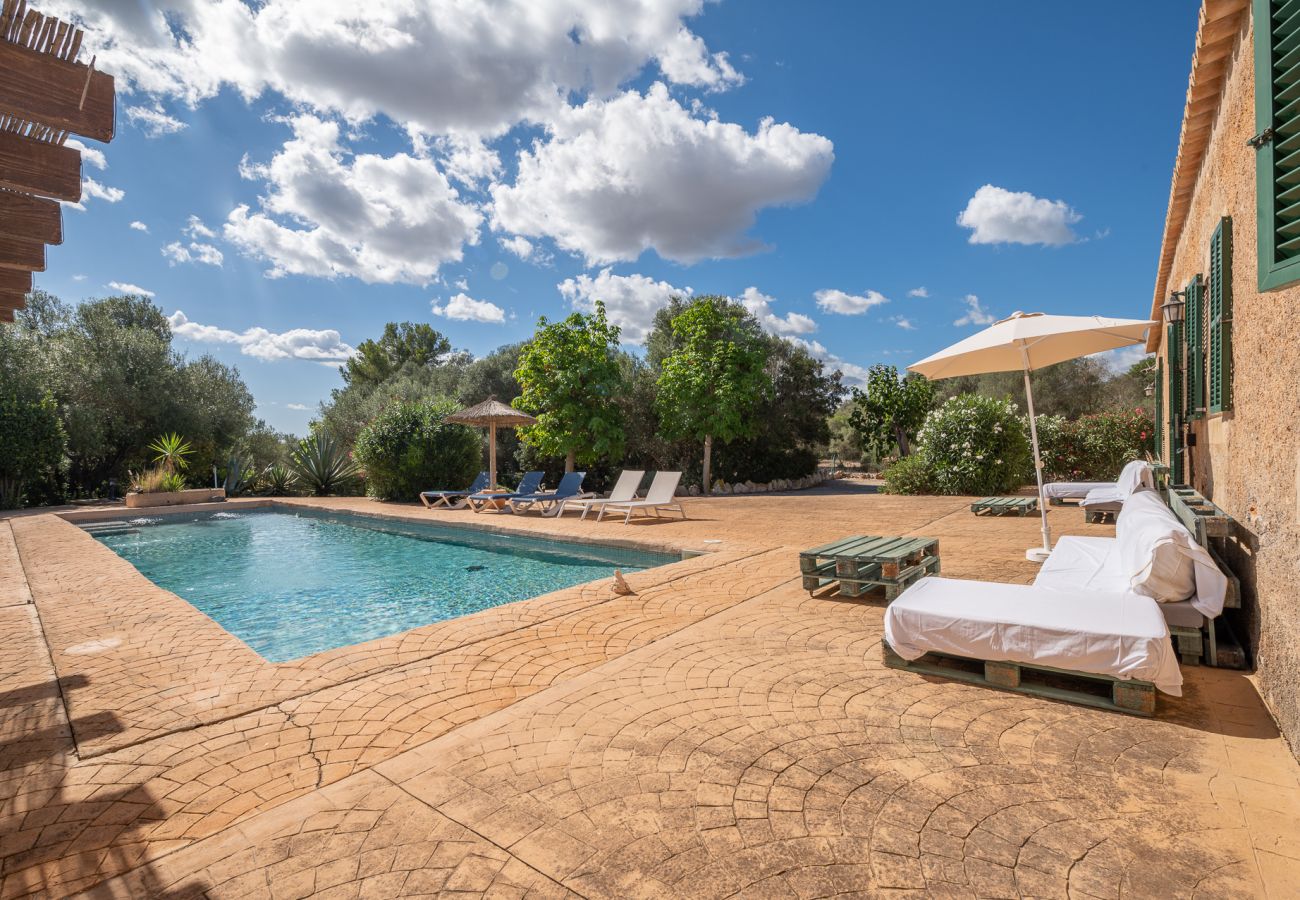 Landhaus in Manacor - Finca Cas Pastor (Son Josep)