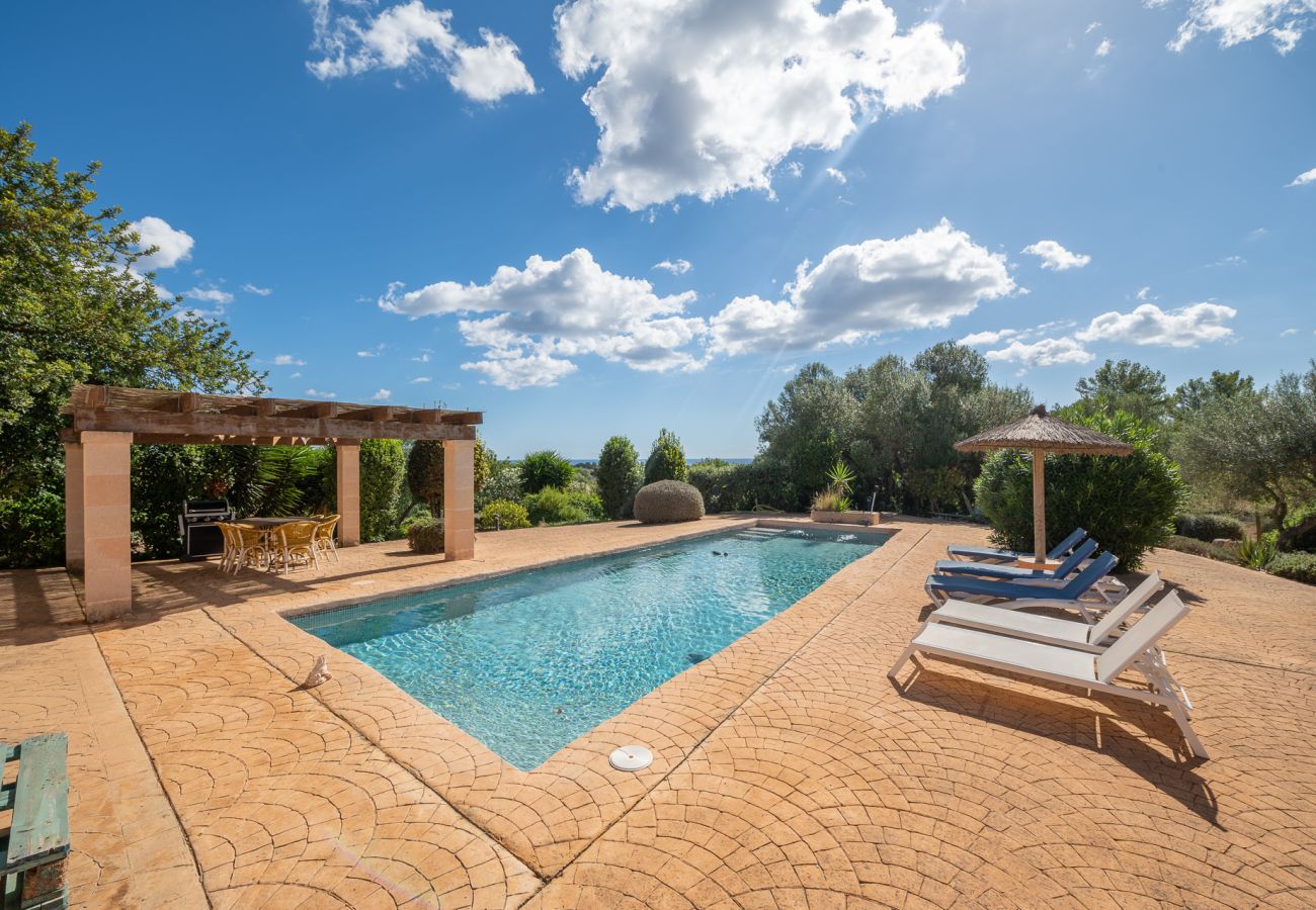 Landhaus in Manacor - Finca Cas Pastor (Son Josep)