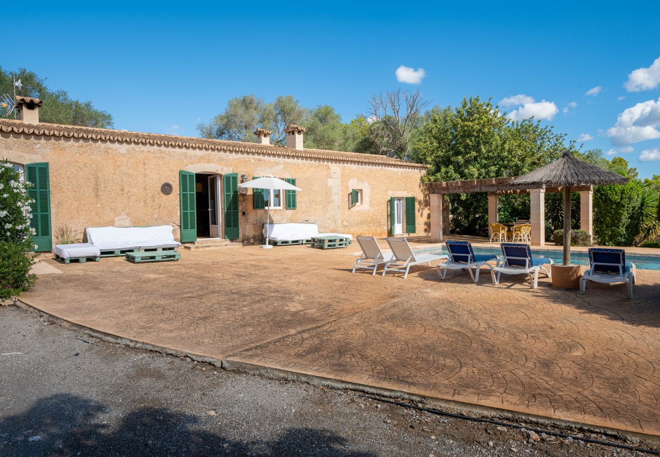 Landhaus in Manacor - Finca Cas Pastor (Son Josep)