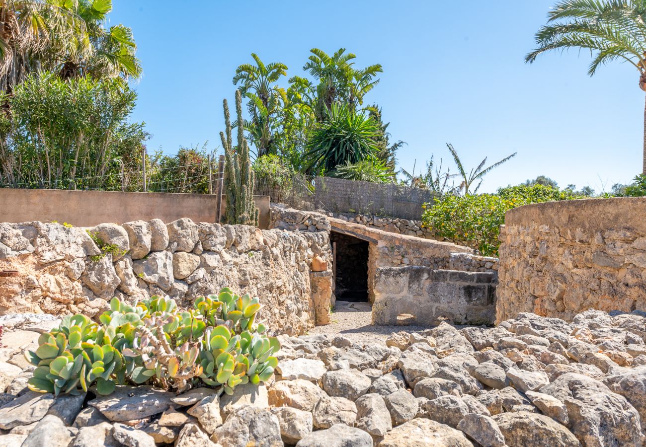 Villa in Cas Concos Des Cavaller - Finca Can Concarri