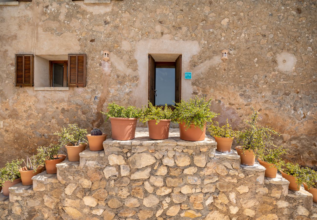 Landhaus in Vilafranca de Bonany - Finca Hortella Vell