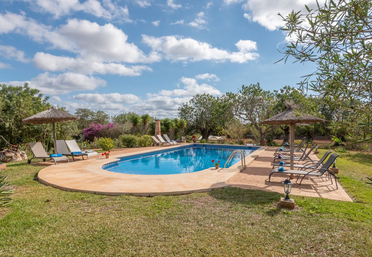 Landhaus in S´Alqueria Blanca - Finca Son Marimon (16 pax)