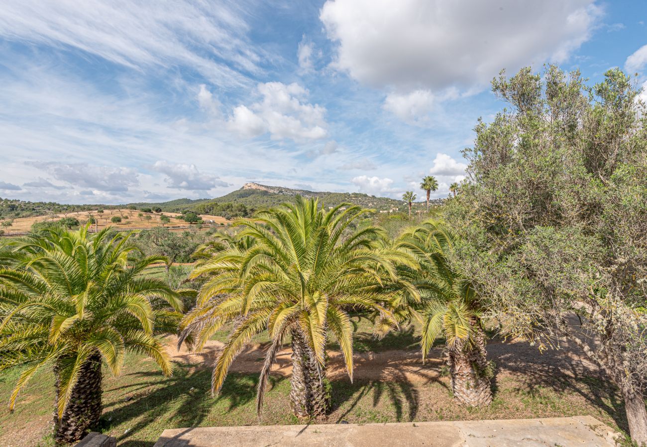 Ferienhaus in Manacor - Finca Sa Bassa Seca