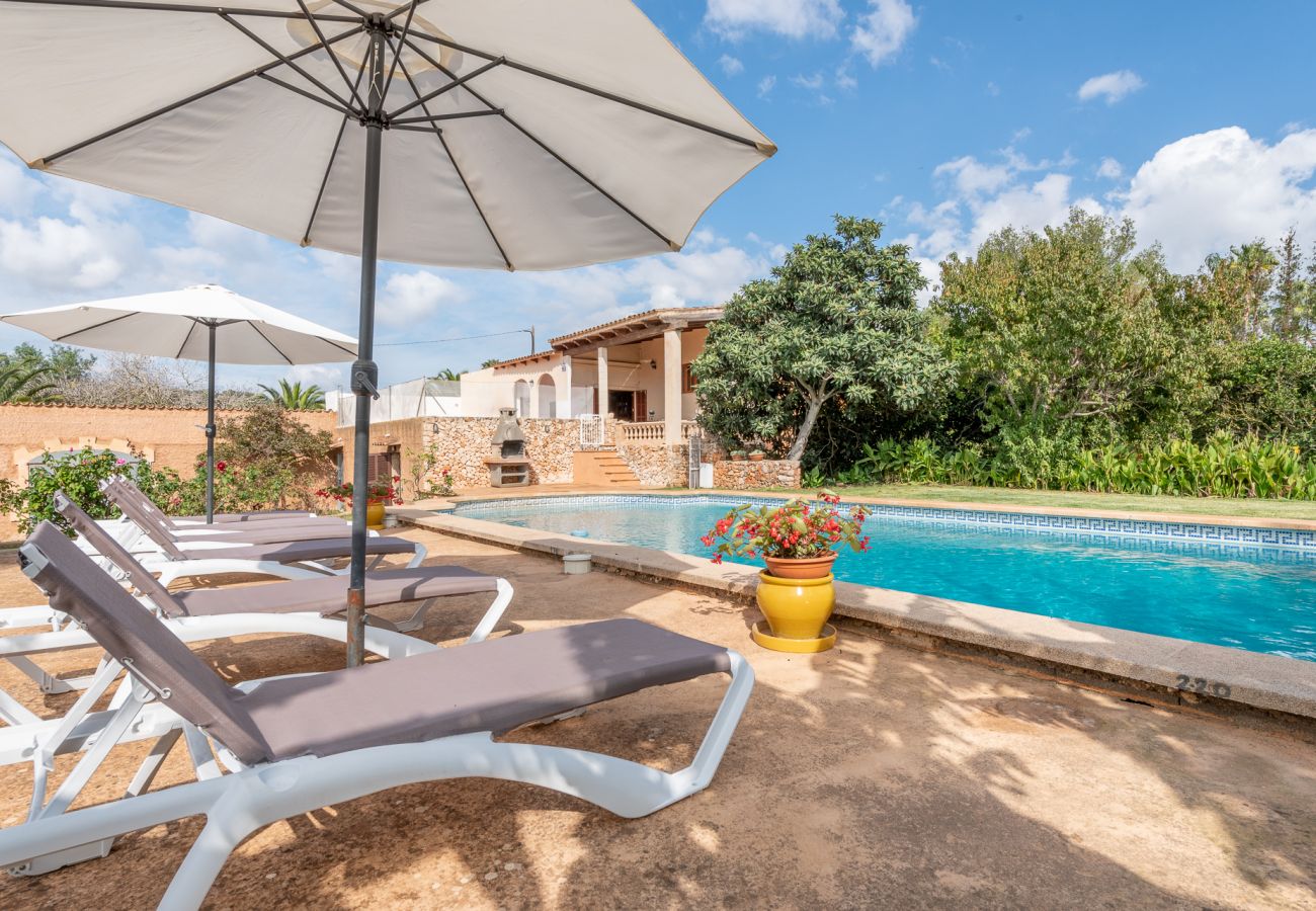 Ferienhaus in Manacor - Finca Sa Bassa Seca