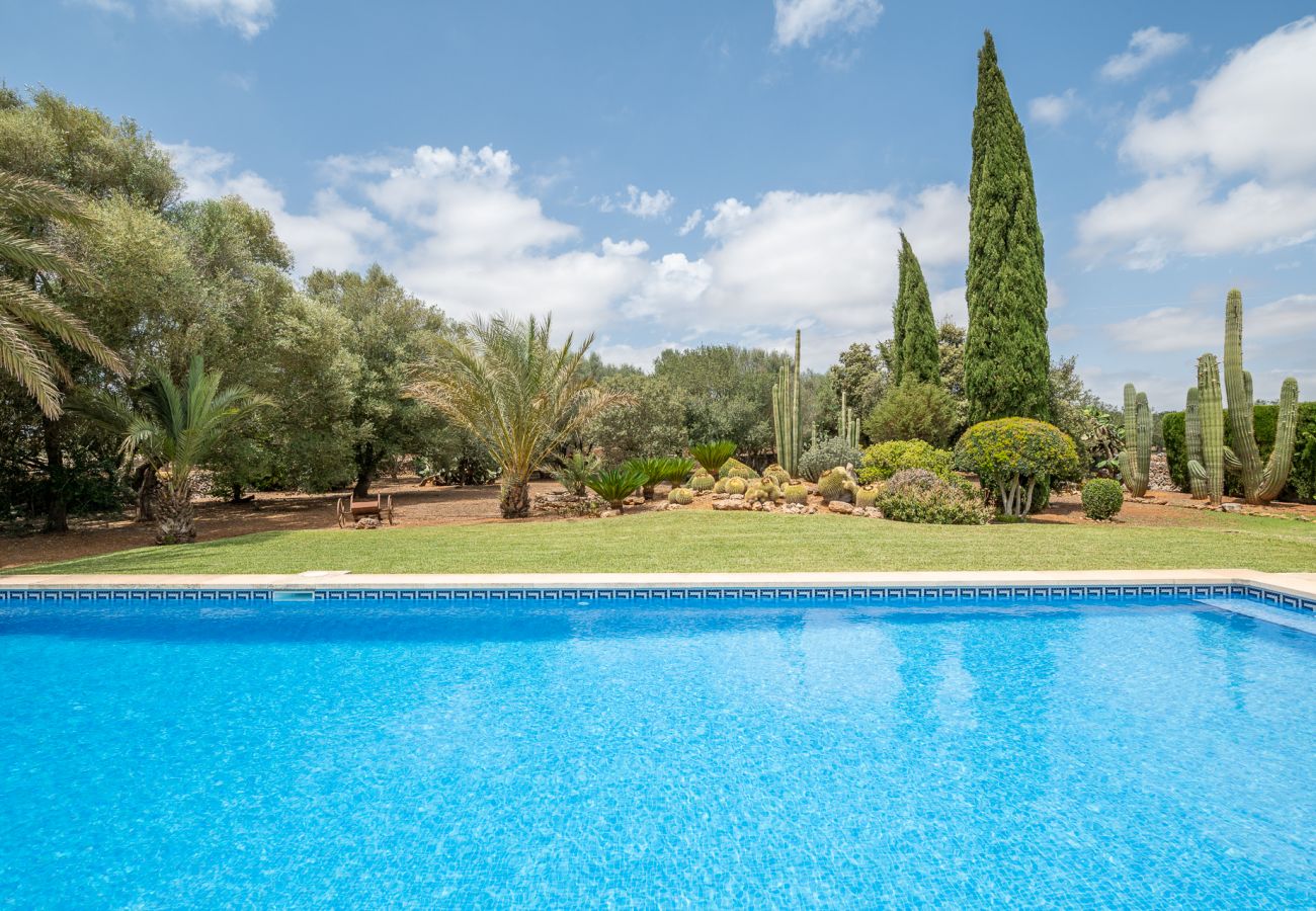 Ferienhaus in Campos - Finca Ses Rotes de Son Rossinyol