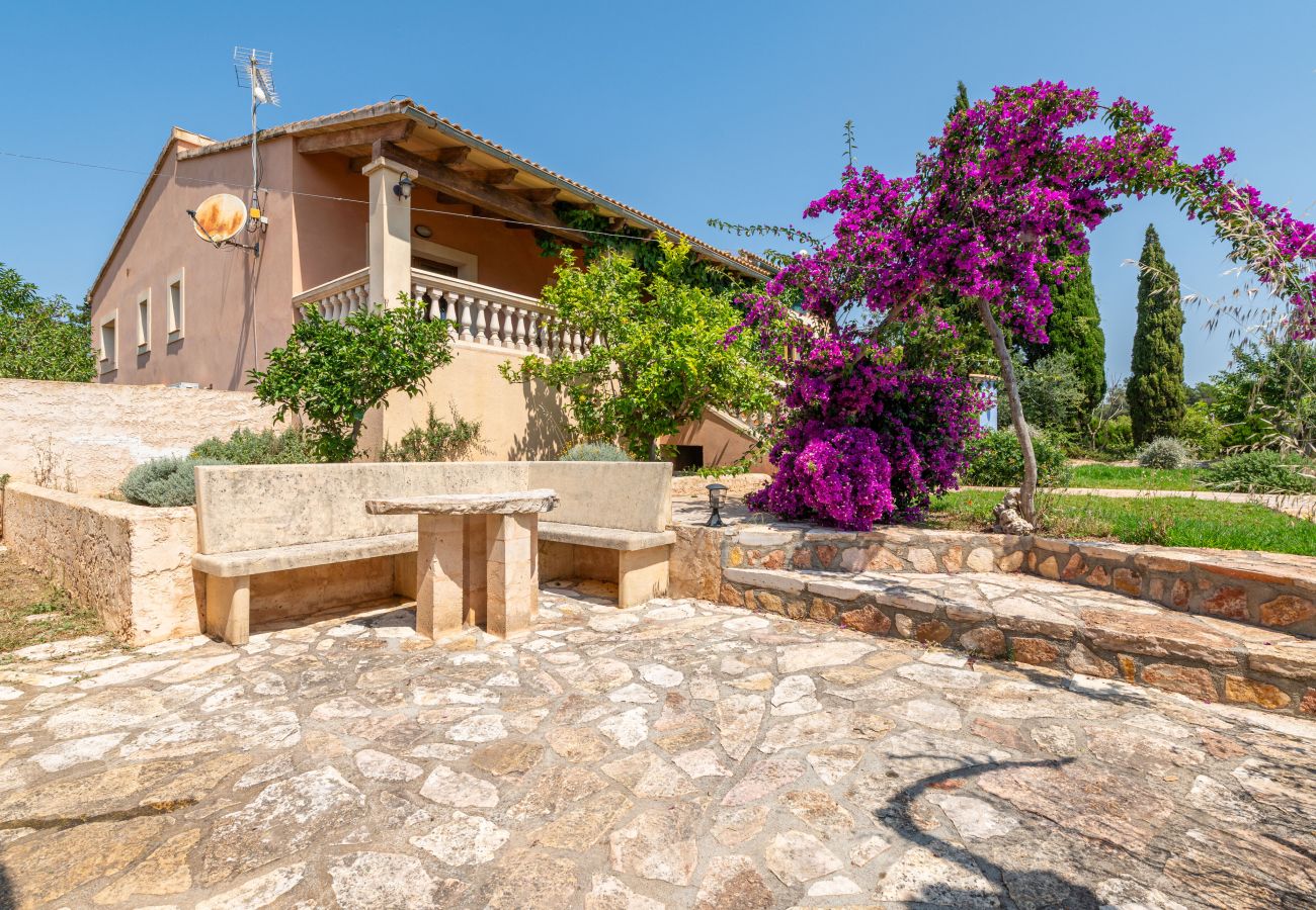 Ferienhaus in Portocolom - Finca Es Reguerons Petit