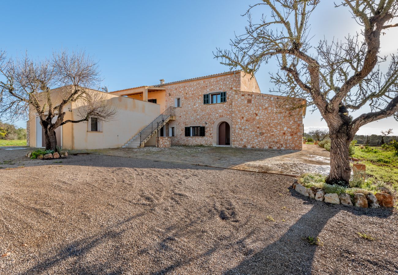 Ferienhaus in Campos - Finca Son Oliver- Son Grau