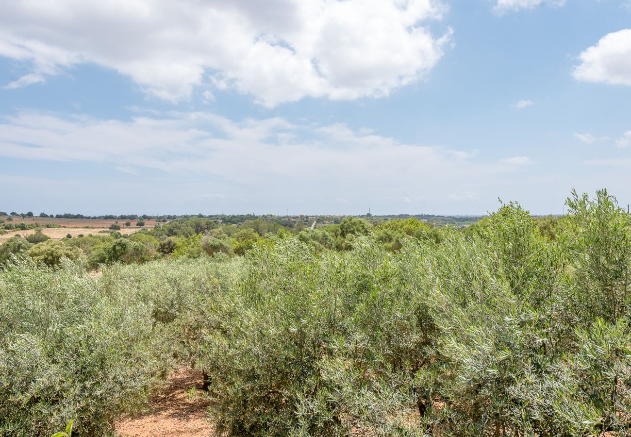 Ferienhaus in Son Carrió - Finca Ses Oliveres by Mallorca House Rent