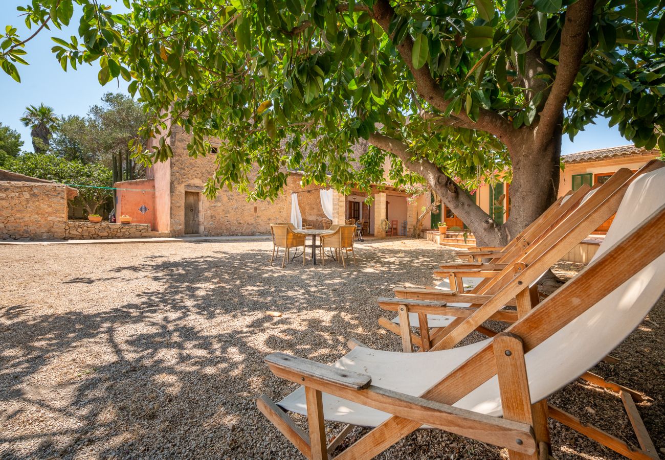 Ferienhaus in Cas Concos Des Cavaller - Casa Can Pauma