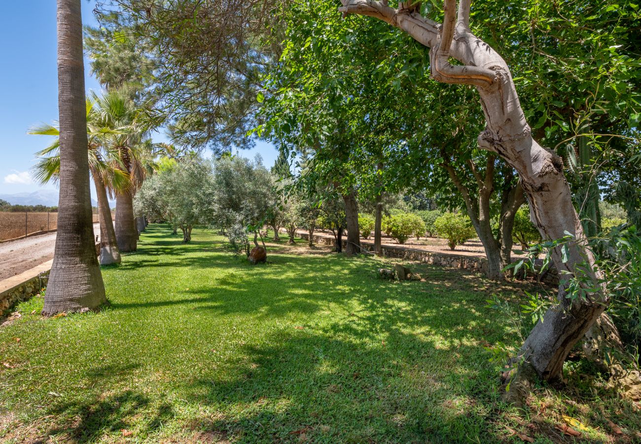 Ferienhaus in Muro - Finca Son Morell