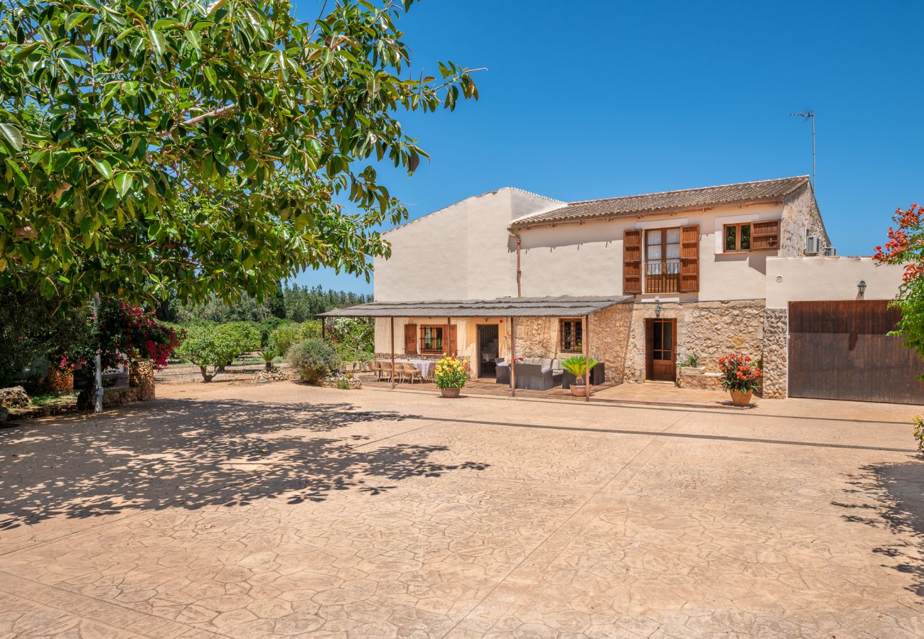 Ferienhaus in Muro - Finca Son Morell
