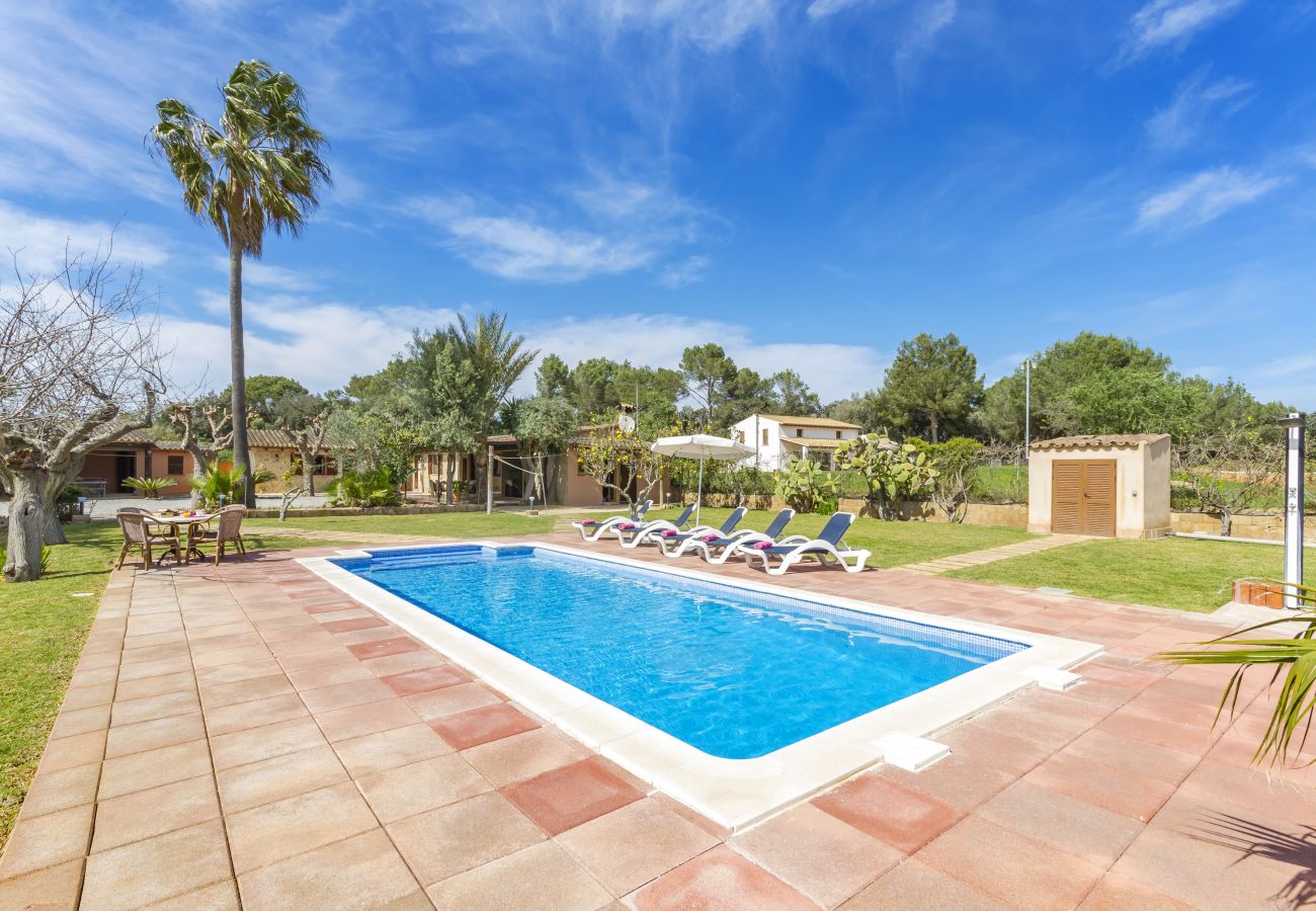 Finca in Alcudia - Finca Marilen 254 by Mallorca Charme