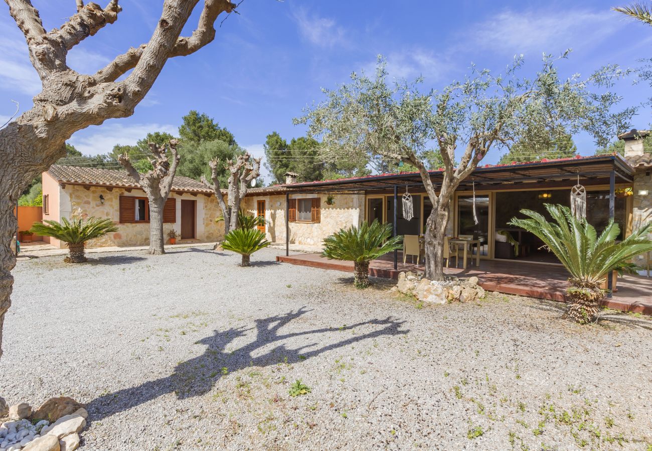 Finca in Alcudia - Finca Marilen 254 by Mallorca Charme