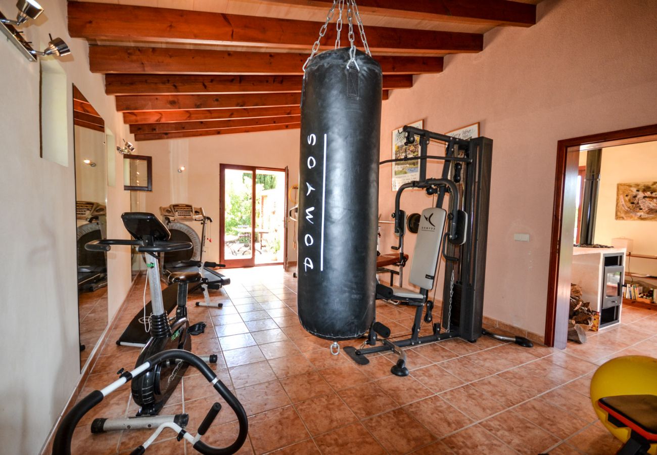 Landhaus in Felanitx - Finca Estrella Fugaz
