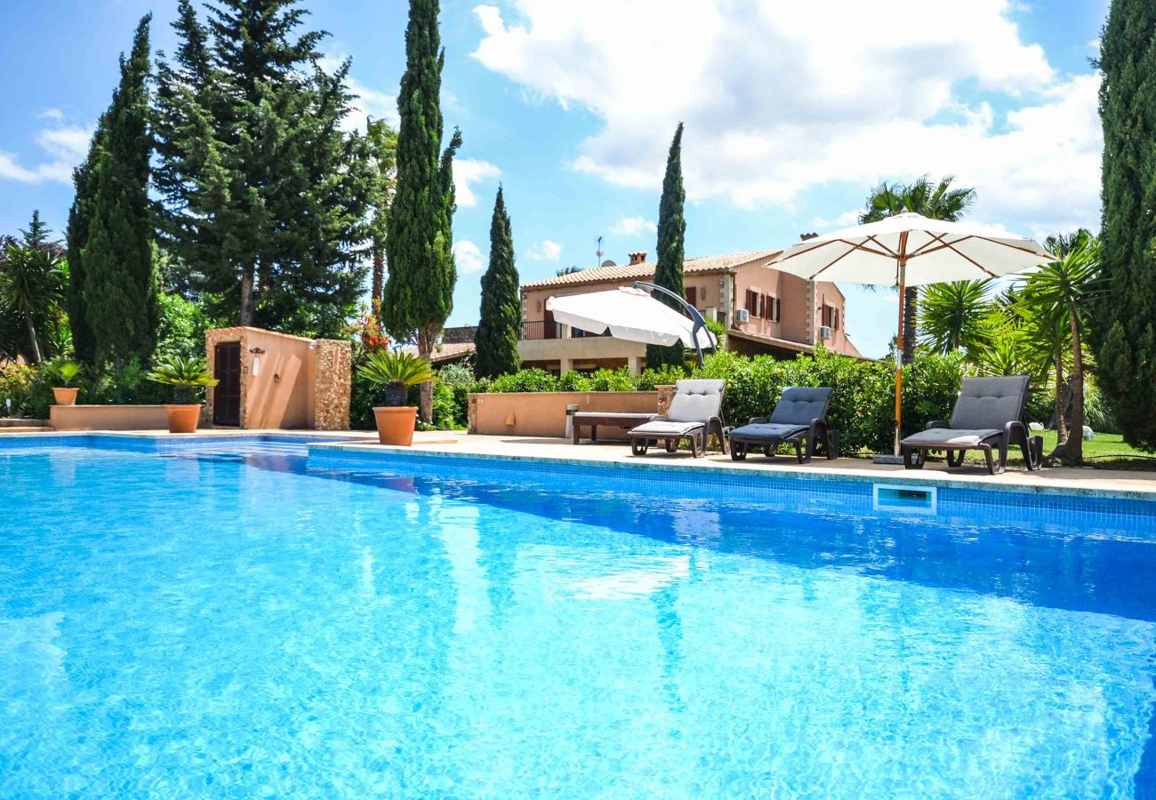 Landhaus in Felanitx - Finca Estrella Fugaz