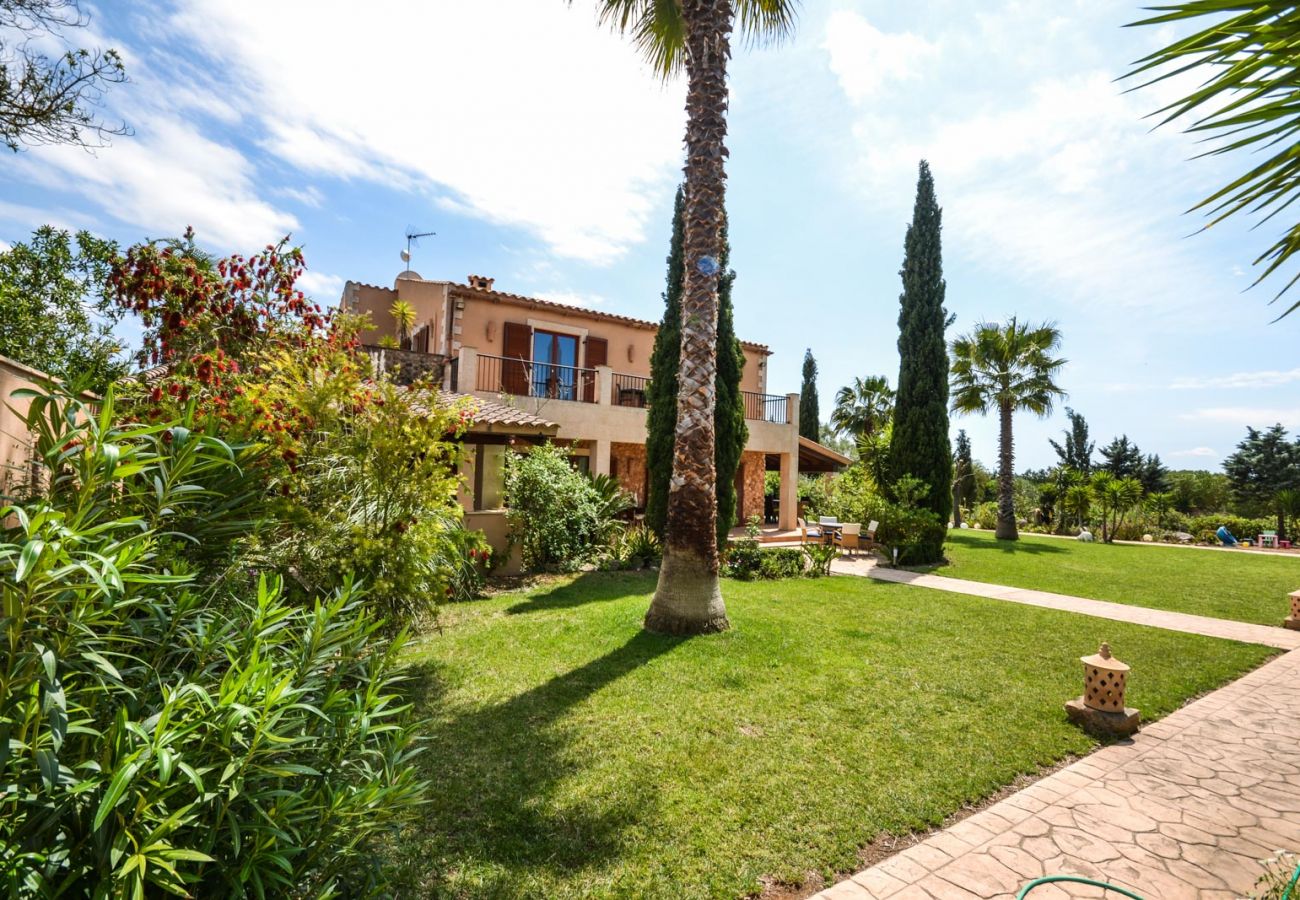 Landhaus in Felanitx - Finca Estrella Fugaz