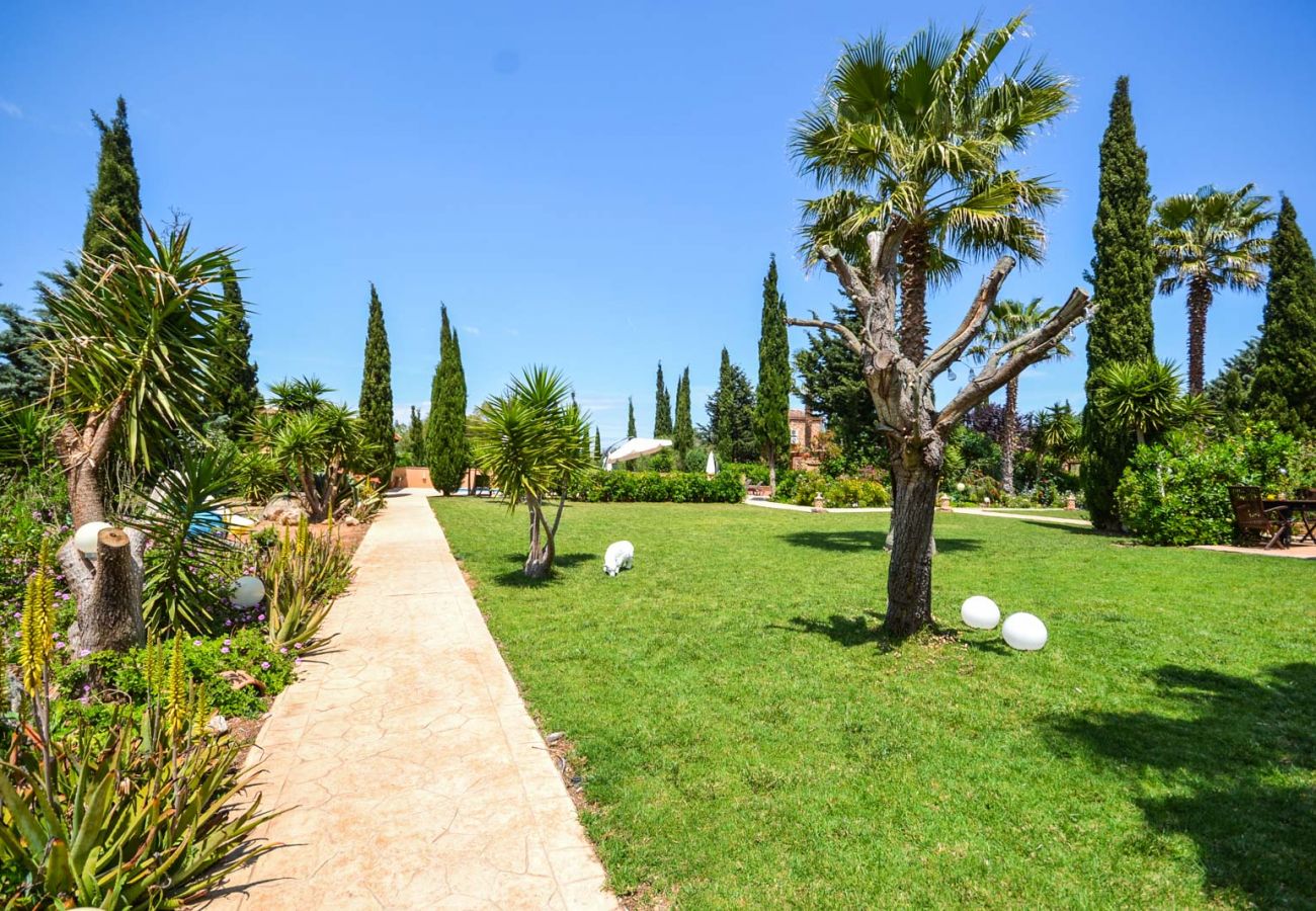 Landhaus in Felanitx - Finca Estrella Fugaz