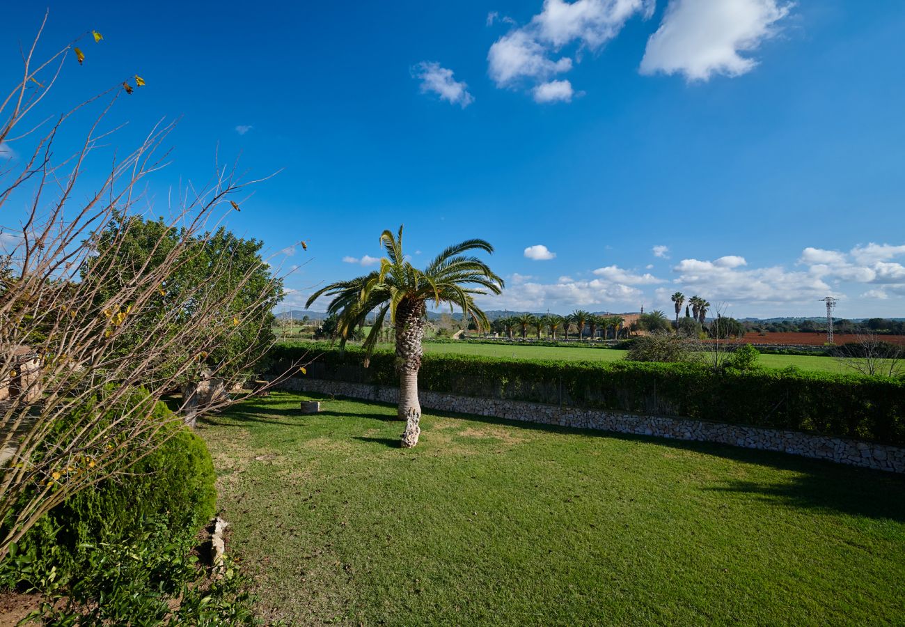 Landhaus in Felanitx - Finca Son Oliver